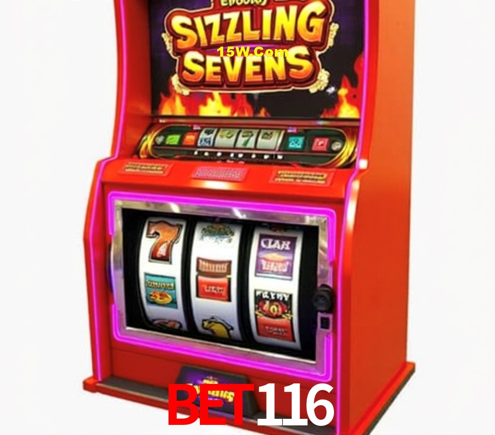 Experiência VIP Bet116